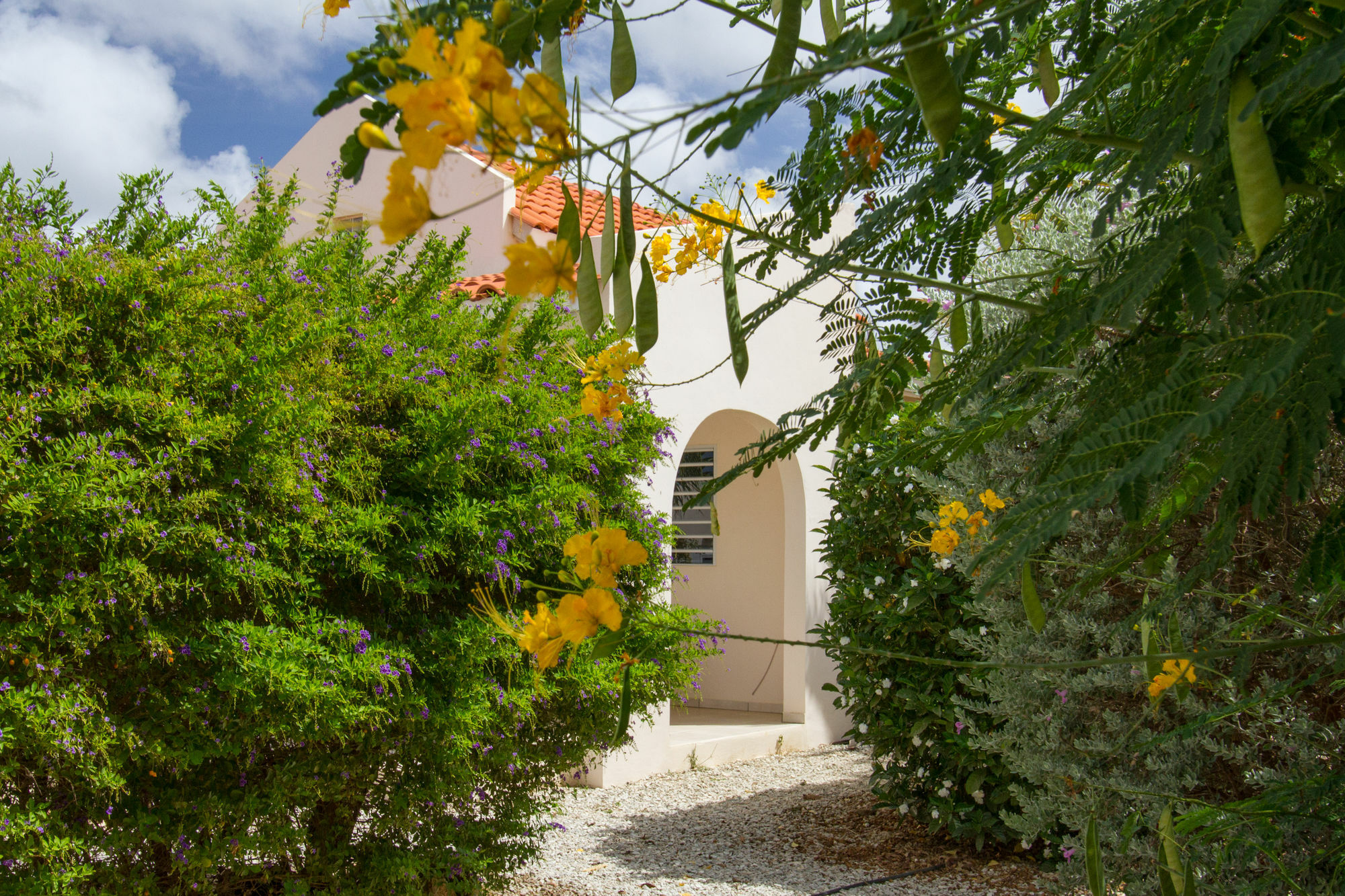 Hamlet Oasis Resort Kralendijk  Exterior photo